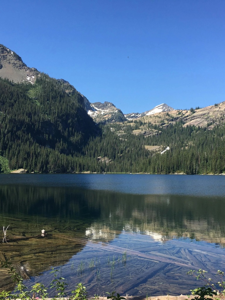 Montana — mountain lake and forest
